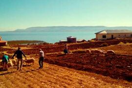 luquina homestay titicaca