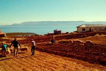 luquina homestay titicaca