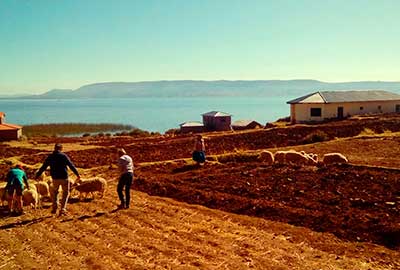 luquina homestay titicaca