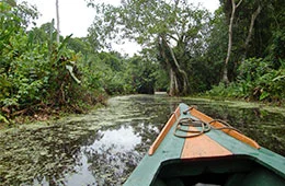 Tambopata tours